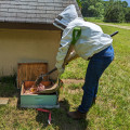 The Art of Transporting Beehives: Tips from a McDowell County Beekeeper